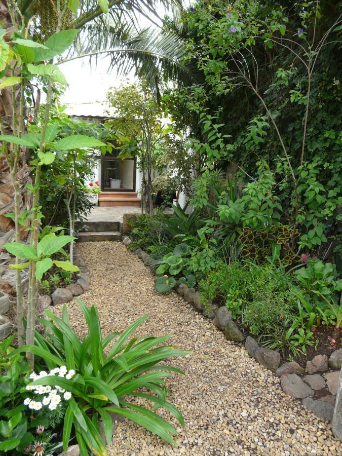 Casa Flora Loft Studio เซาซาล ภายนอก รูปภาพ